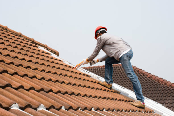 Professional Roofing services in Genoa, OH